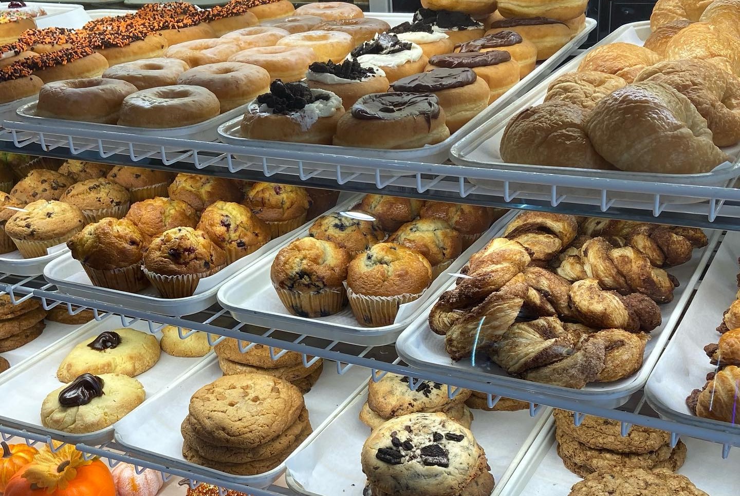 305804343_522251846371254_3351346917436268501_n